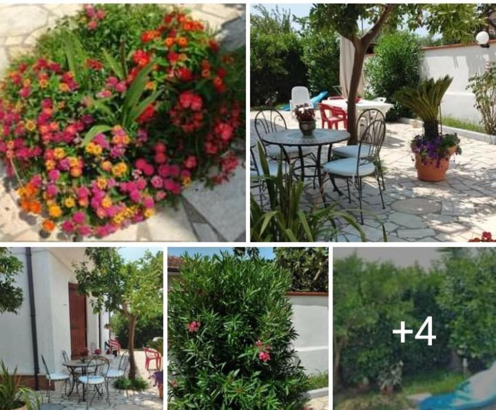 Villa Dafne Mare Fondi Sperlonga Екстер'єр фото